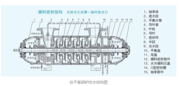 锅炉给水泵结构图片