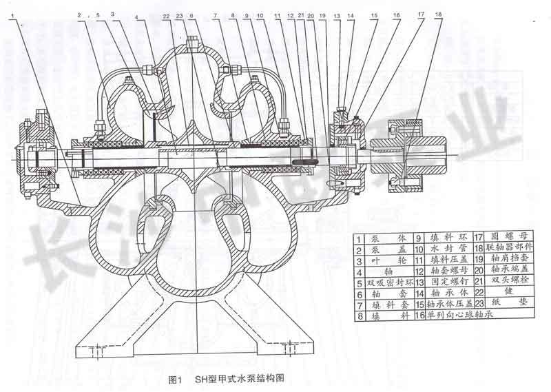 sh双吸离心泵结构图1